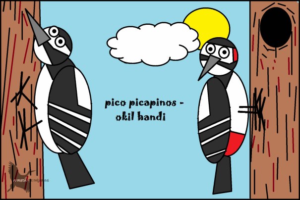 Pico picapinos - Okil handi